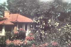 Walden Tea House 1950's